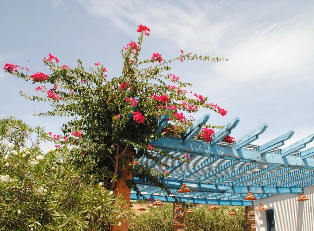 La Ferma Bed and Breakfast M'Diq Esterno foto